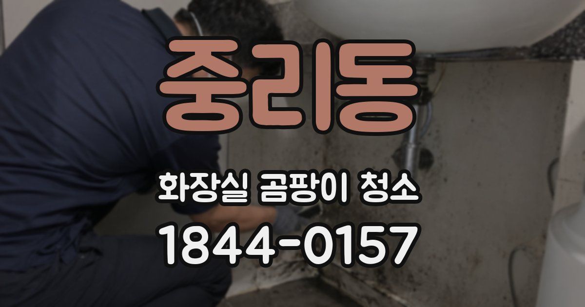 중리동 화장실 곰팡이 청소