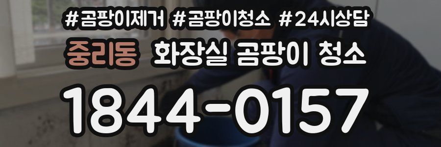 중리동 화장실 곰팡이 청소
