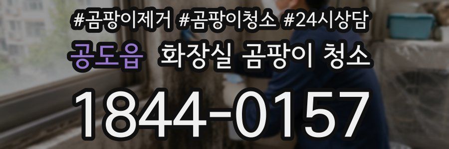 공도읍 화장실 곰팡이 청소