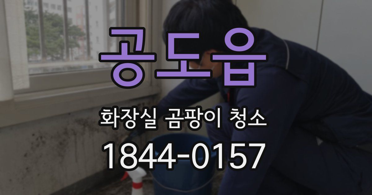 공도읍 화장실 곰팡이 청소