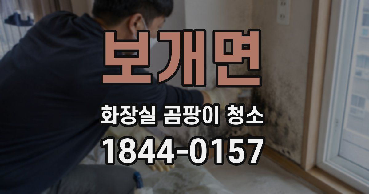 보개면 화장실 곰팡이 청소