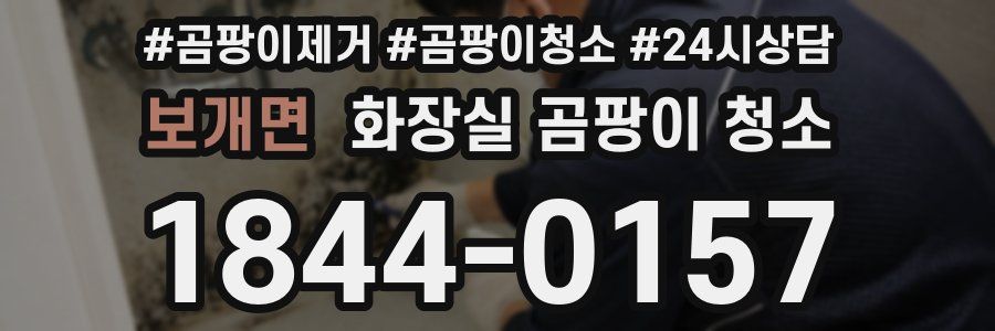 보개면 화장실 곰팡이 청소