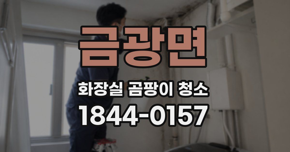 금광면 화장실 곰팡이 청소