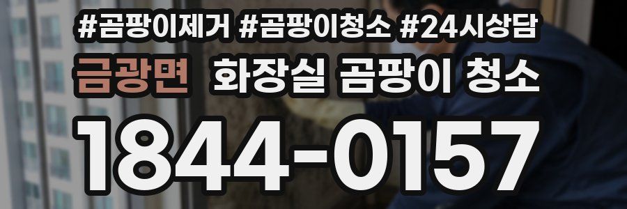 금광면 화장실 곰팡이 청소