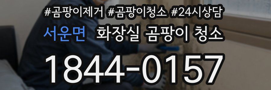 서운면 화장실 곰팡이 청소