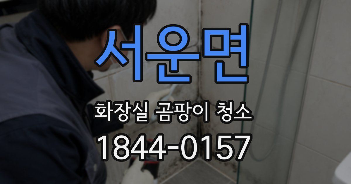 서운면 화장실 곰팡이 청소