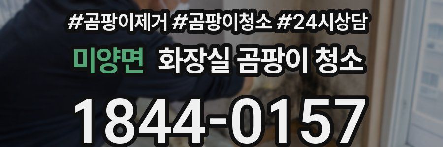 미양면 화장실 곰팡이 청소