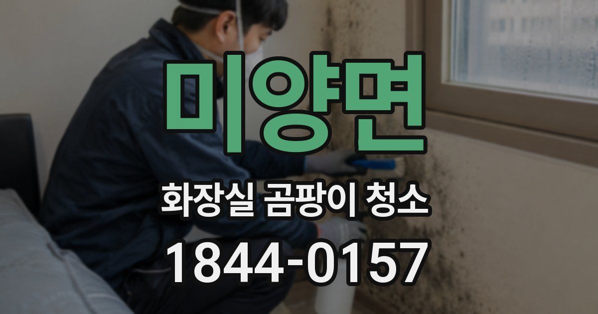 미양면 화장실 곰팡이 청소