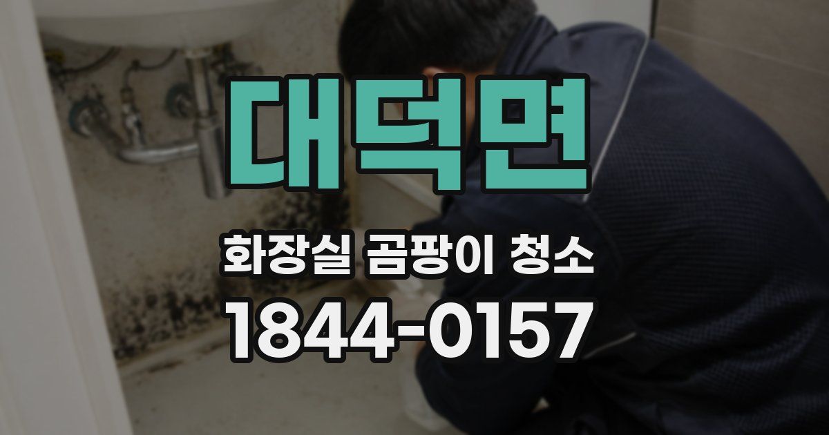 대덕면 화장실 곰팡이 청소