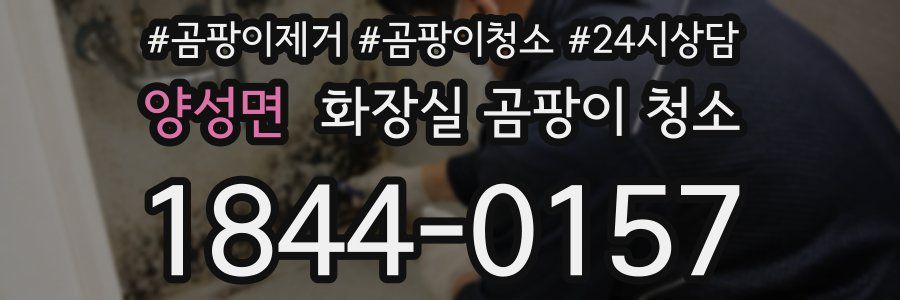 양성면 화장실 곰팡이 청소