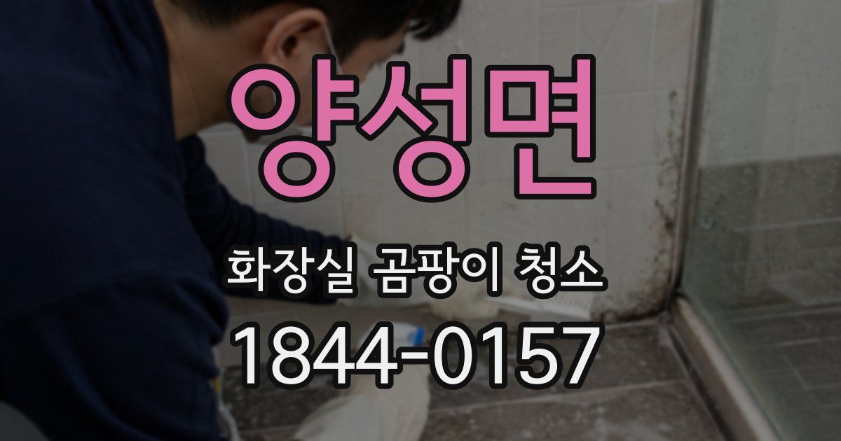 양성면 화장실 곰팡이 청소