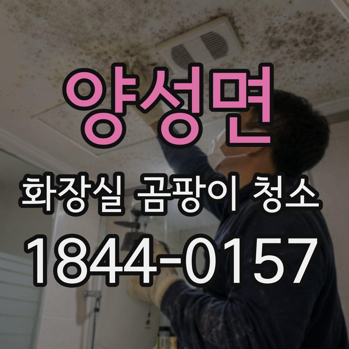 양성면 화장실 곰팡이 청소