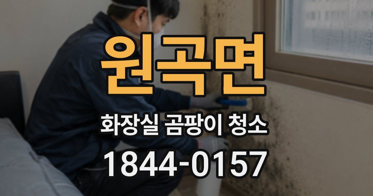 원곡면 화장실 곰팡이 청소