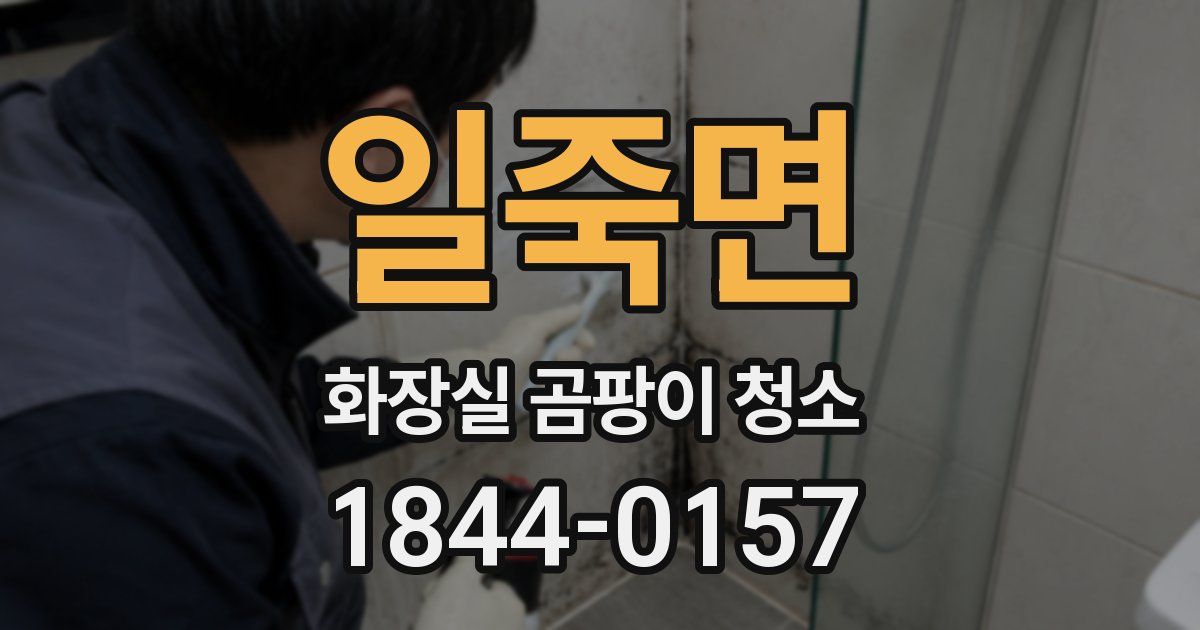 일죽면 화장실 곰팡이 청소