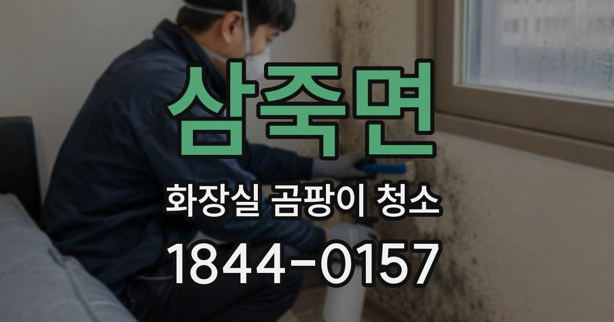삼죽면 화장실 곰팡이 청소