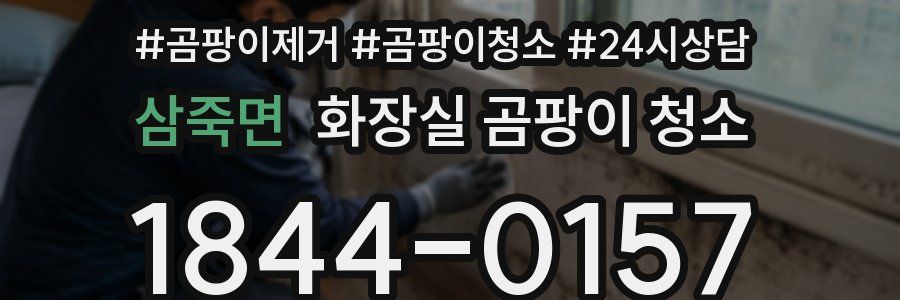 삼죽면 화장실 곰팡이 청소
