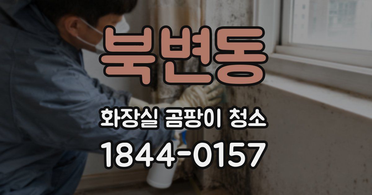 북변동 화장실 곰팡이 청소
