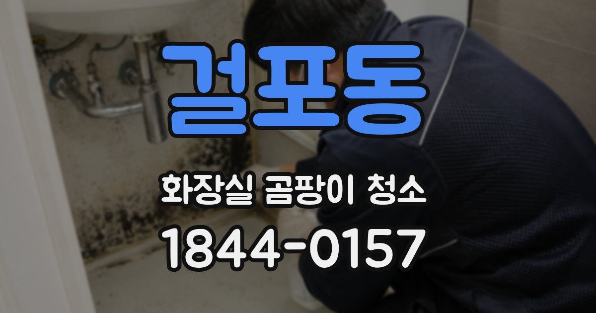 걸포동 화장실 곰팡이 청소