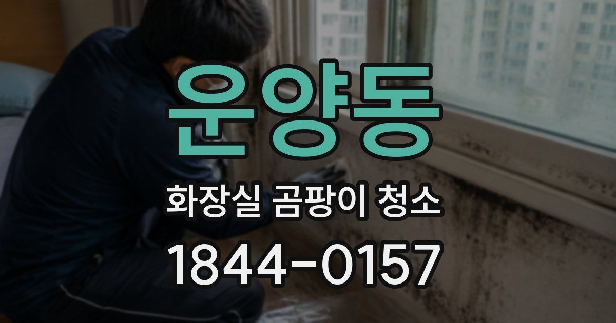 운양동 화장실 곰팡이 청소