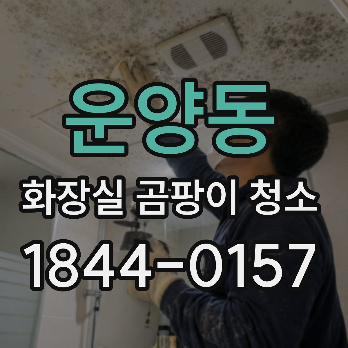 운양동 화장실 곰팡이 청소