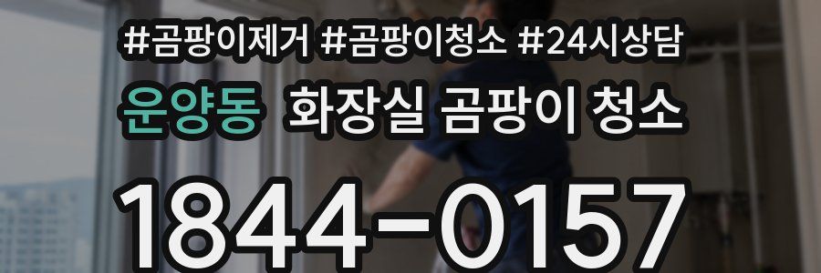 운양동 화장실 곰팡이 청소