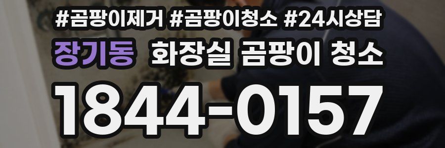 장기동 화장실 곰팡이 청소