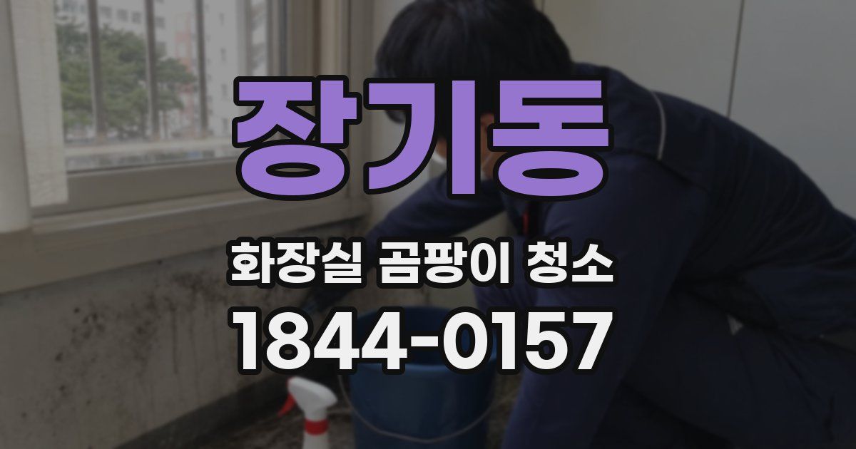 장기동 화장실 곰팡이 청소