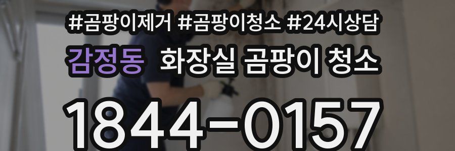 감정동 화장실 곰팡이 청소
