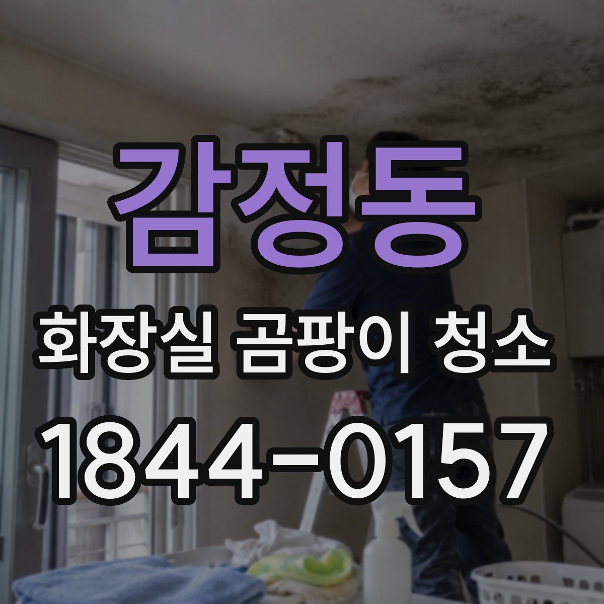 감정동 화장실 곰팡이 청소