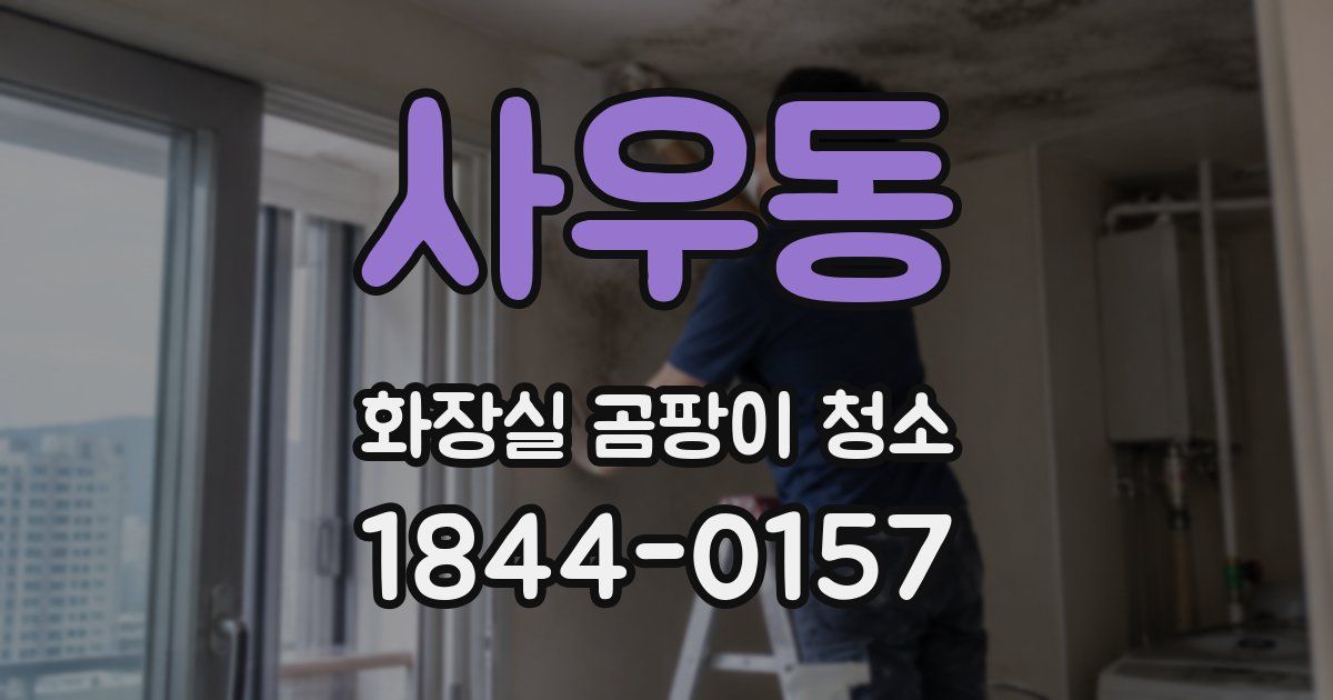 사우동 화장실 곰팡이 청소