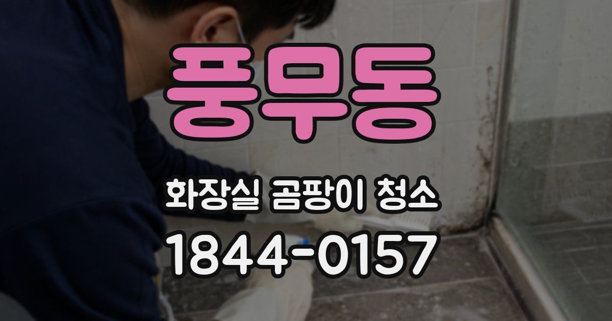 풍무동 화장실 곰팡이 청소