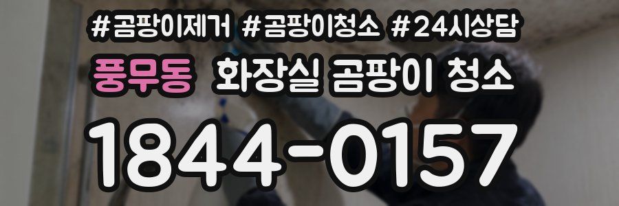 풍무동 화장실 곰팡이 청소