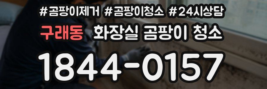 구래동 화장실 곰팡이 청소