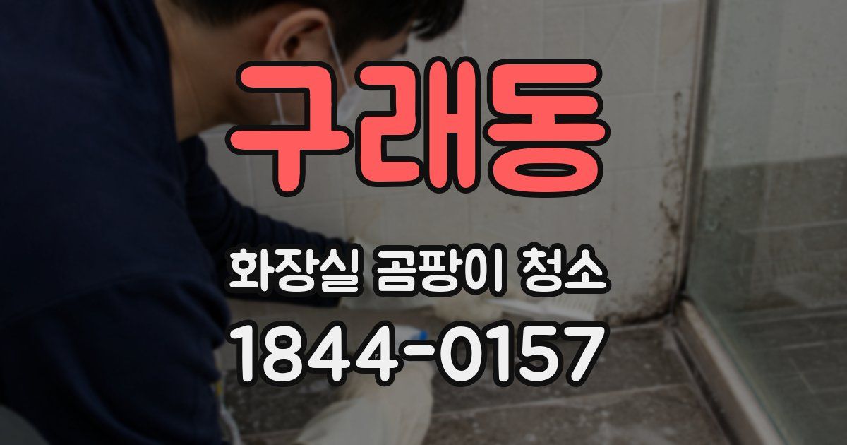 구래동 화장실 곰팡이 청소