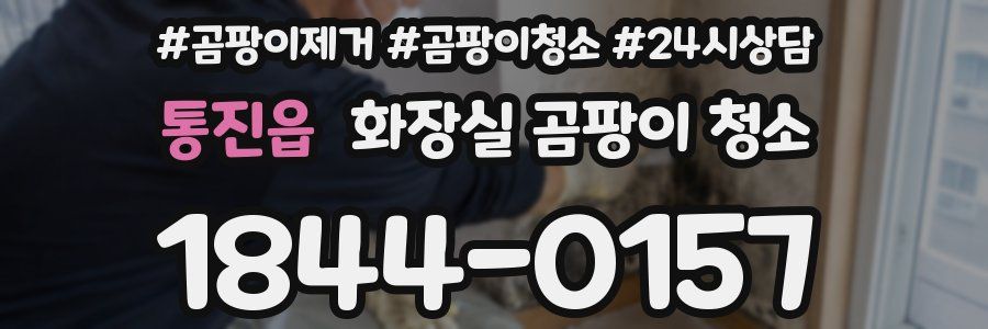 통진읍 화장실 곰팡이 청소