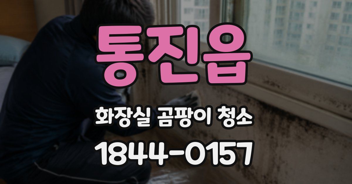 통진읍 화장실 곰팡이 청소