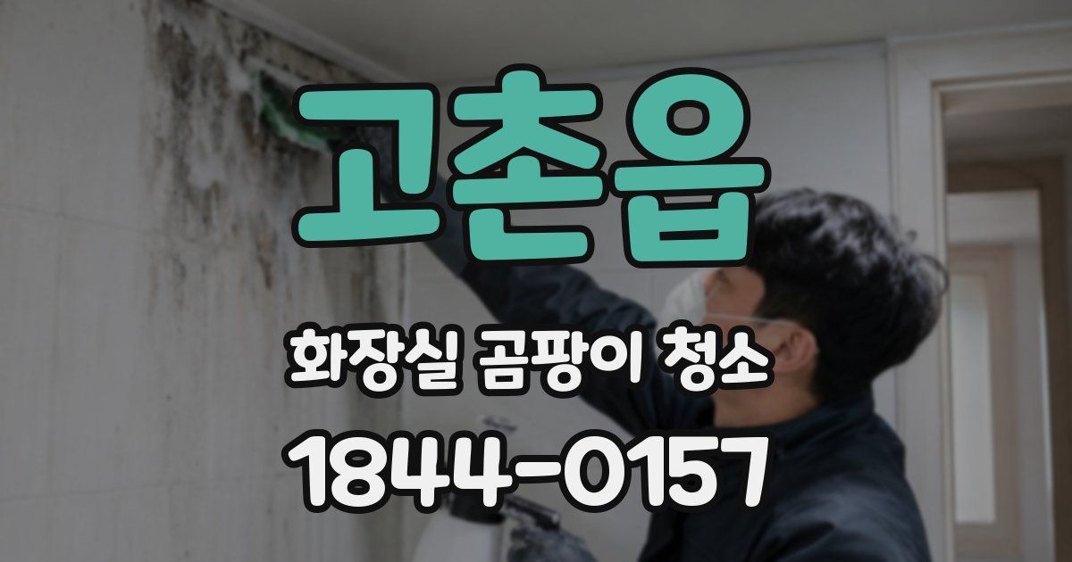 고촌읍 화장실 곰팡이 청소