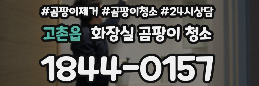 고촌읍 화장실 곰팡이 청소