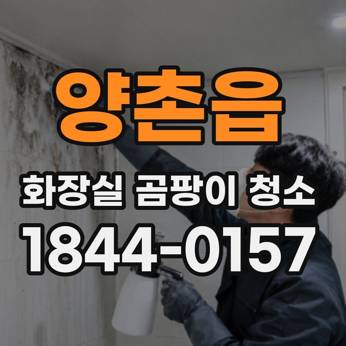 양촌읍 화장실 곰팡이 청소 환기 부족한 공간에서 먼저 볼 부분