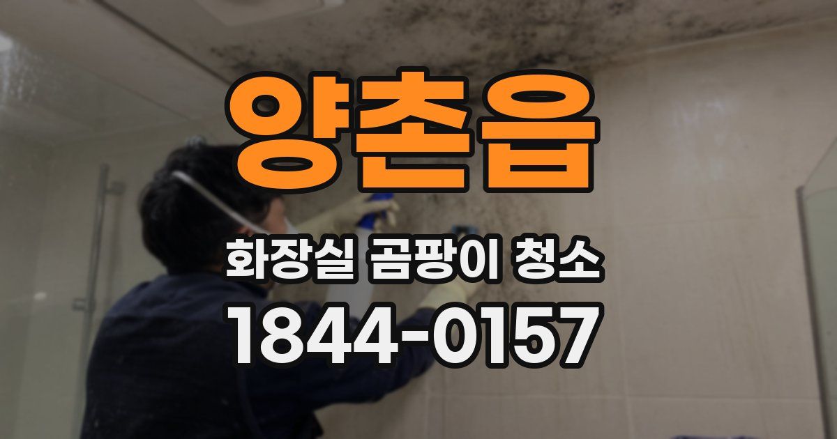 양촌읍 화장실 곰팡이 청소