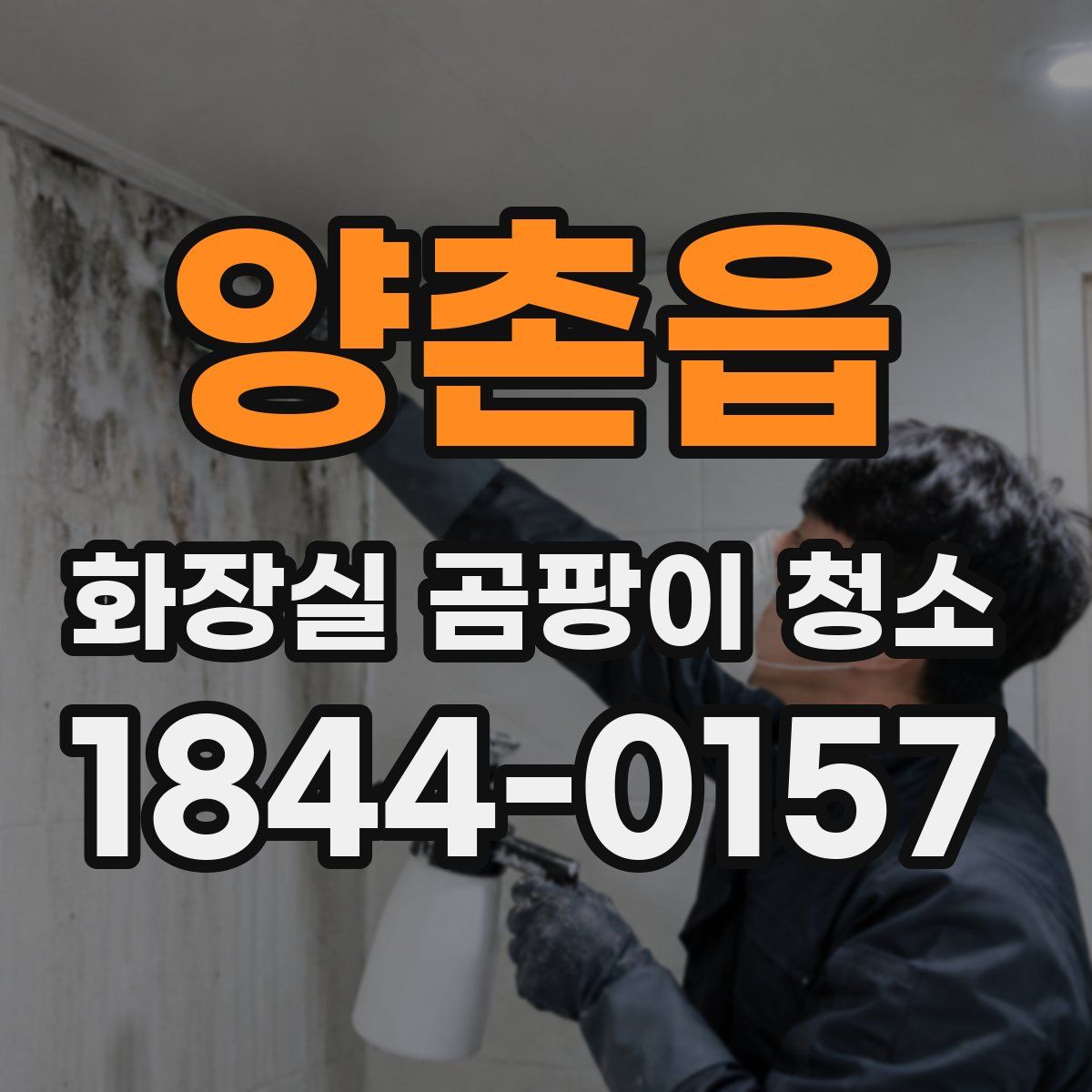 양촌읍 화장실 곰팡이 청소