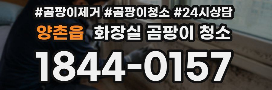 양촌읍 화장실 곰팡이 청소