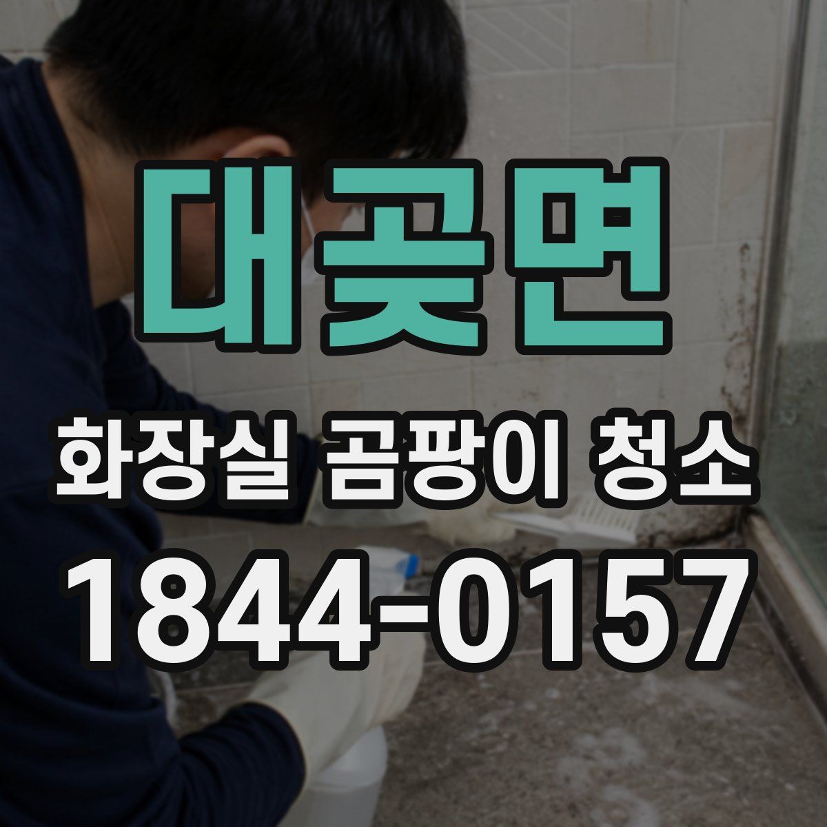 대곶면 화장실 곰팡이 청소