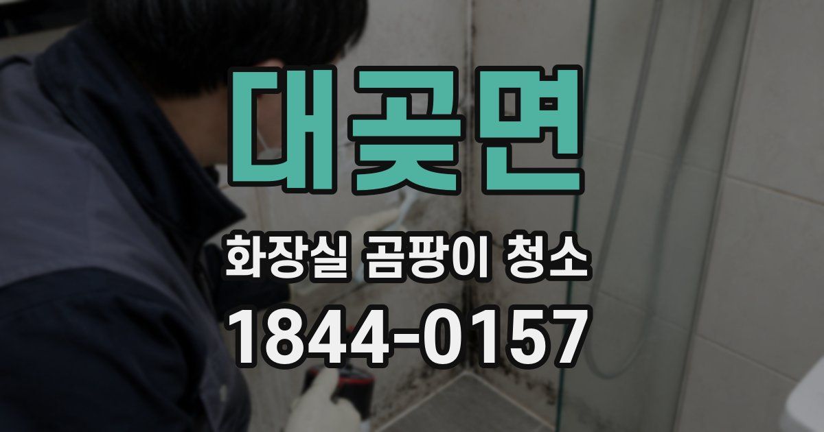 대곶면 화장실 곰팡이 청소