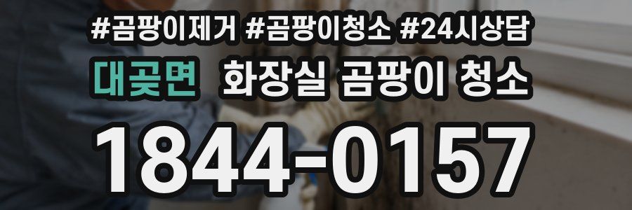 대곶면 화장실 곰팡이 청소