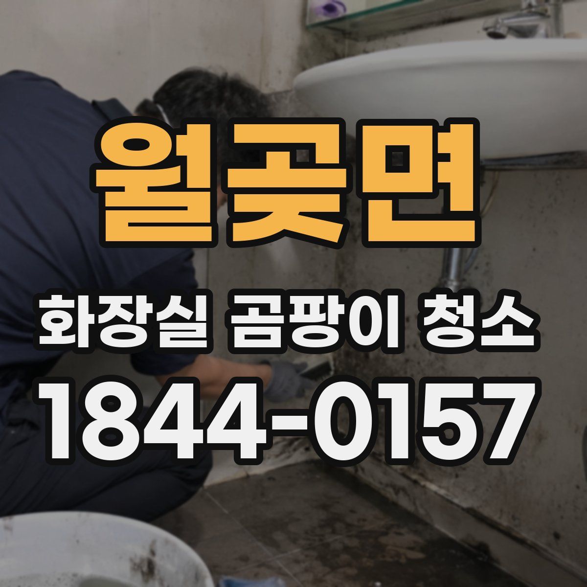 월곶면 화장실 곰팡이 청소