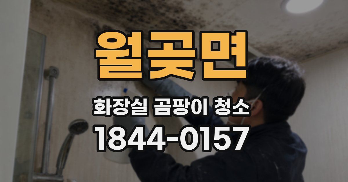 월곶면 화장실 곰팡이 청소