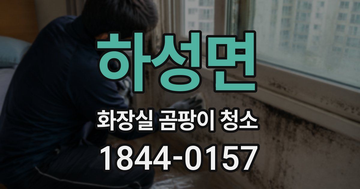 하성면 화장실 곰팡이 청소