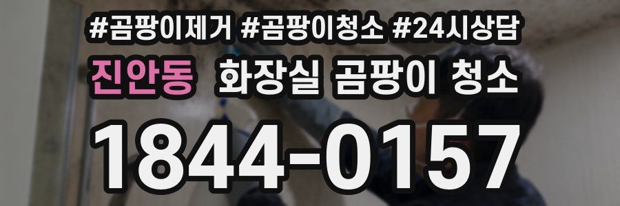 진안동 화장실 곰팡이 청소