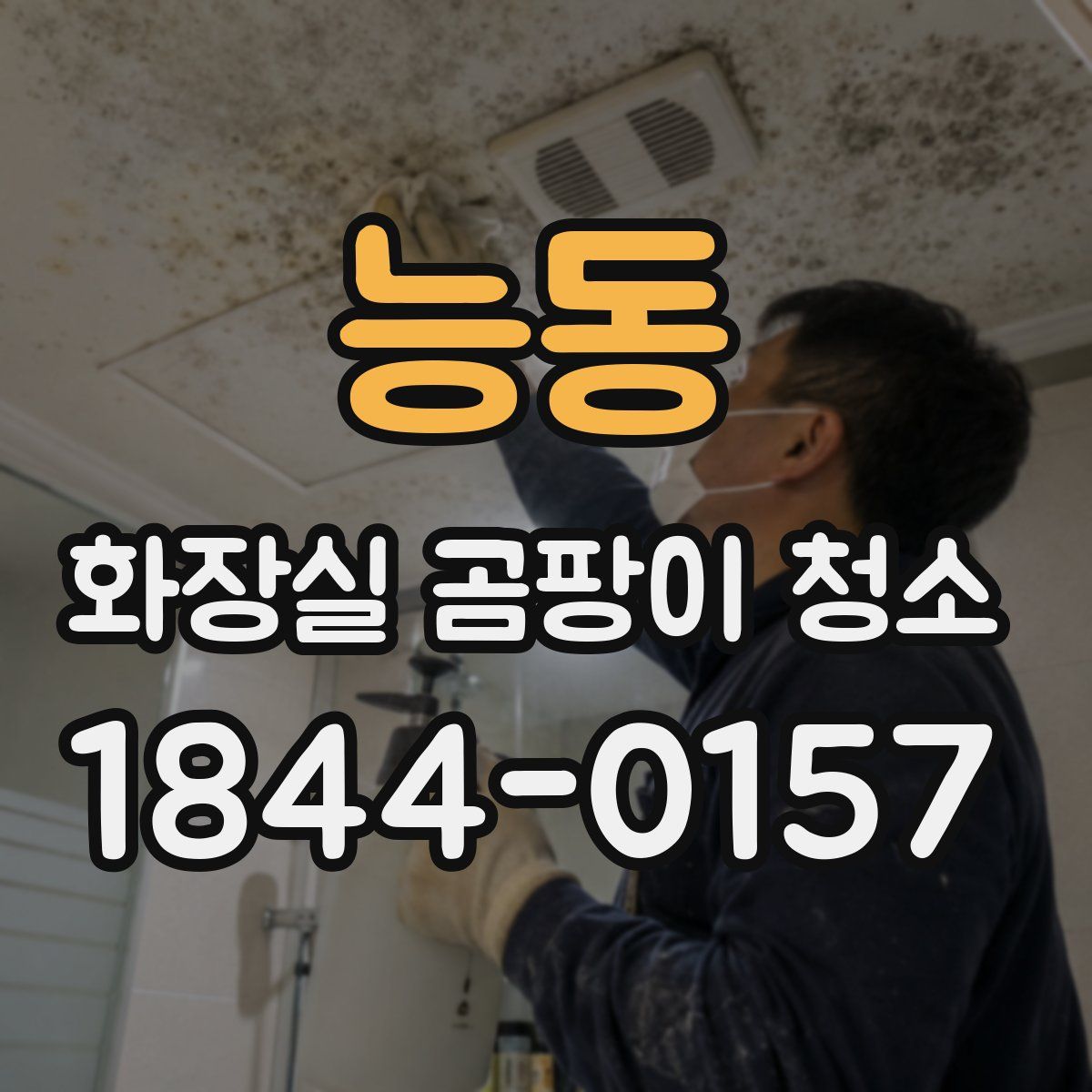 능동 화장실 곰팡이 청소